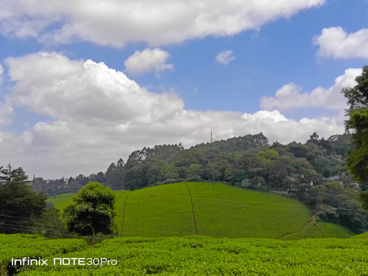 NicKanali's tweet image. Some #InfinixNote30Pro shots here. 

Infinix is selling this phone for Ksh. 34k.