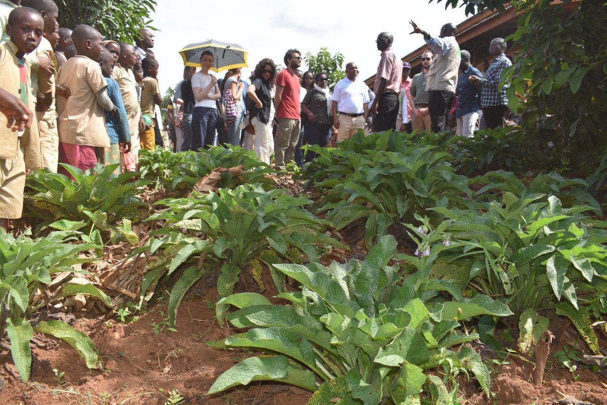 DjomedaK's tweet photo. @MathiasMogge @WFP In Burundi we provide 160,000 schoolchildren in 161 schools with a hot meal every school day thanks to a WHH-WFP partnership. This meal keeps children in the education system longer, increases the success rate and eases the financial burden on parents, most of whom are vulnerable https://t.co/kLExyiJhui