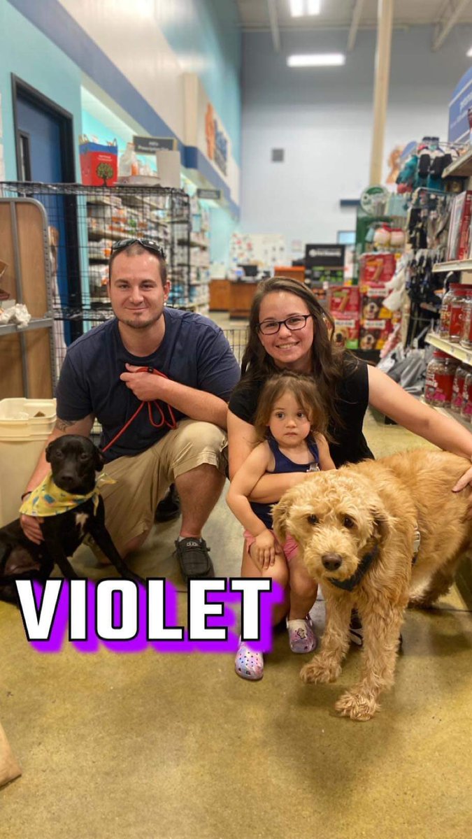 venetianblonde's tweet image. Some good news for Monday: Violet, Louisa and Duke were set to die at Russell County/Phenix City shelter, Alabama. They're all safe home in Maryland, thanks to Lucky's Legacy Rescue. Please share, and send a little $ to some real dog savers. Thank you x
🙏
luckyslegacyrescueorg.wordpress.com