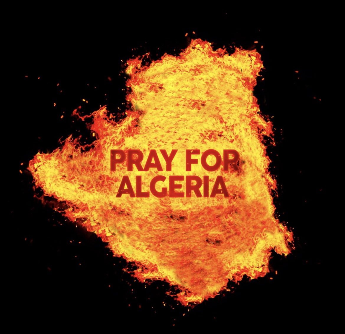Algérie Football Média 🇩🇿 tweet media