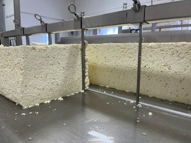 Can you guess what flavour we are making today?
#goudacheese
#farmstead
#GuessTheFlavour