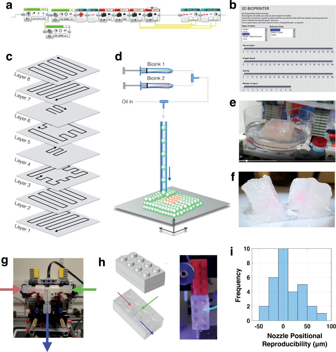 MWNautilus's tweet photo. Development &amp; Evaluation of a low-cost #OpenSource #LEGO #3DBioprinter: From building-blocks to building blocks of life:
https://t.co/ujDXR8FNkp
#DIYbio #lab #instruments #3Dprinting #3Dprinter #microfluidics #hydrogel #alginate #cells #biology #tissue #Mindstorms https://t.co/87B0iXQ56h