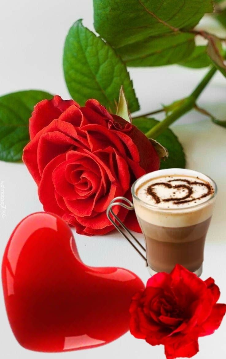 M. Noria tweet media