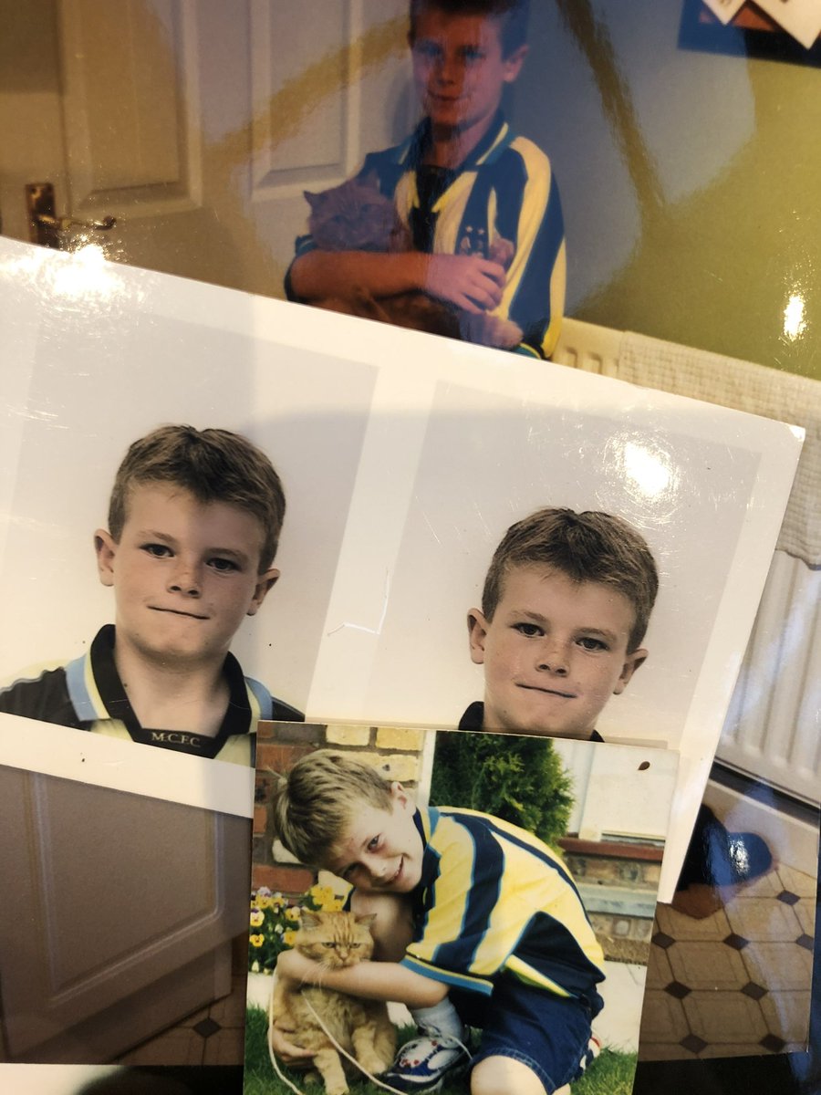 Hand of Rod tweet media