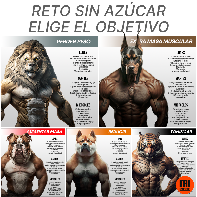 MadmusclesPlans's tweet photo. ¡Consigue un cuerpo musculoso con MadMuscle, la aplicación definitiva de fitness para hombres! 🏋️‍♂️ ¡Supera el desafío sin azúcar y libera tu verdadero potencial!💪 ¡Toma el control de tu salud y transforma tu cuerpo hoy mismo!📲 #MetasFitness #DesafíoSinAzúcar #SéLocoSéMusculoso