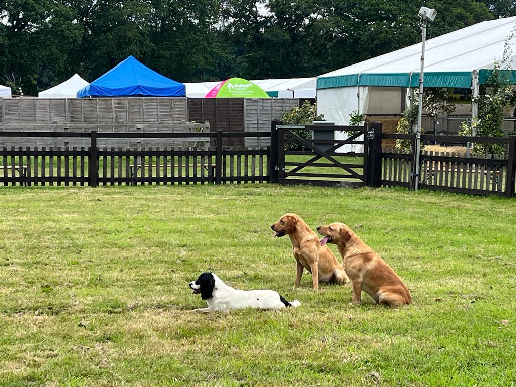 HighGround Charity UK (@highground_uk) on Twitter photo Just setting up our stand <a href="/NewForestShow/">New Forest Show</a> Come and see us tomorrow Weds or Thursday in the Countryside area number 93!! Just setting up our stand <a href="/NewForestShow/">New Forest Show</a> Come and see us tomorrow Weds or Thursday in the Countryside area number 93!!