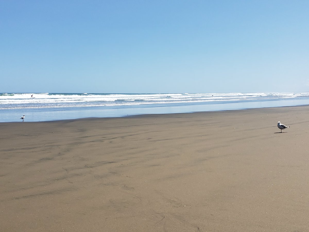 #Top4Theme #Top4Beaches 4?  So many beaches but here's 4 of my favorite beach pics from the archives 
Bandon, OR 10/18
Lincoln City, OR 12/08
Murawei Beach, NZ 03/19
Whangarei Beach, NZ 03/19
@ararewoman @obligatraveler @intheolivegrov1 
@tailsandstays @philandkenzie @jollyhobos