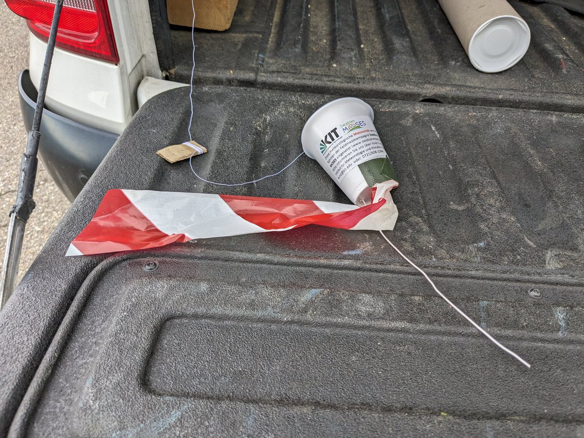 Susanna Mohr tweet media