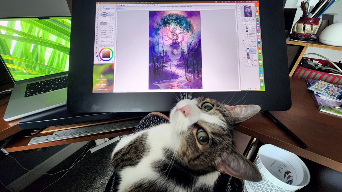 She's helping

#wip #cat