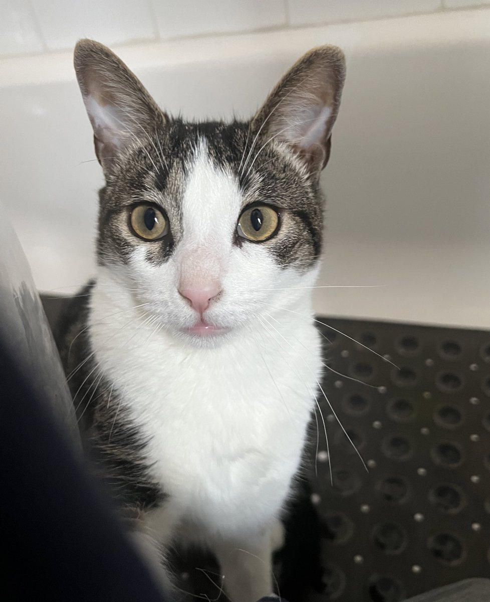 Molie 💅🏼 tweet media