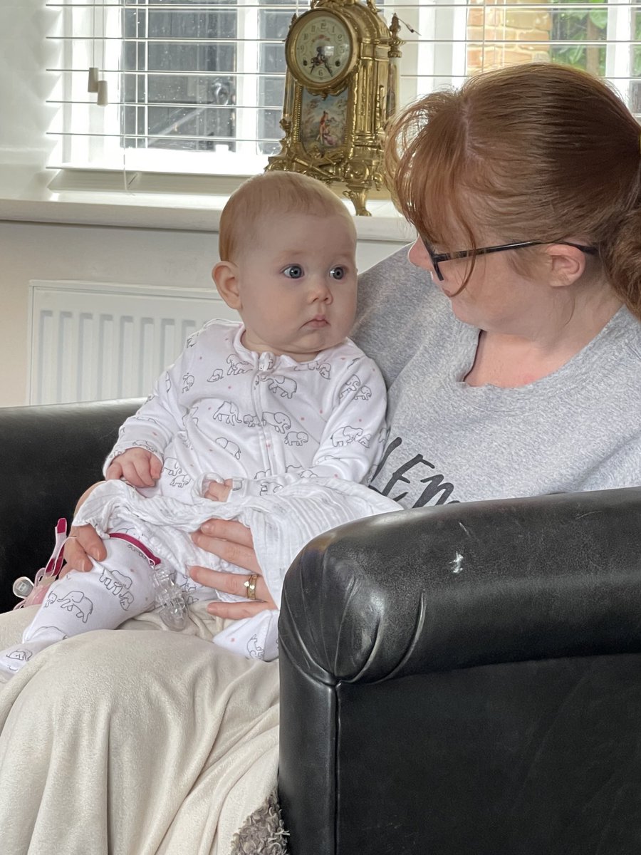 nigeliswright's tweet image. We have visitors ❤️