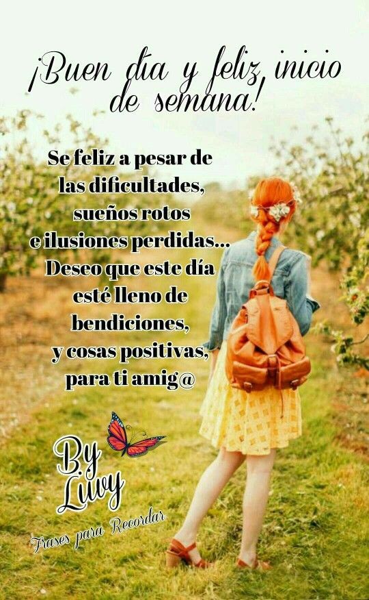 M. Noria tweet media