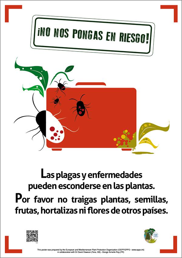 bug_beastie's tweet photo. Pests and diseases can hide on plants.
When travelling, please don't bring back plants, seeds, fruits, vegetables or flowers
#DontRiskIt
https://t.co/uhlPQgRjhd https://t.co/58YCK80fkI