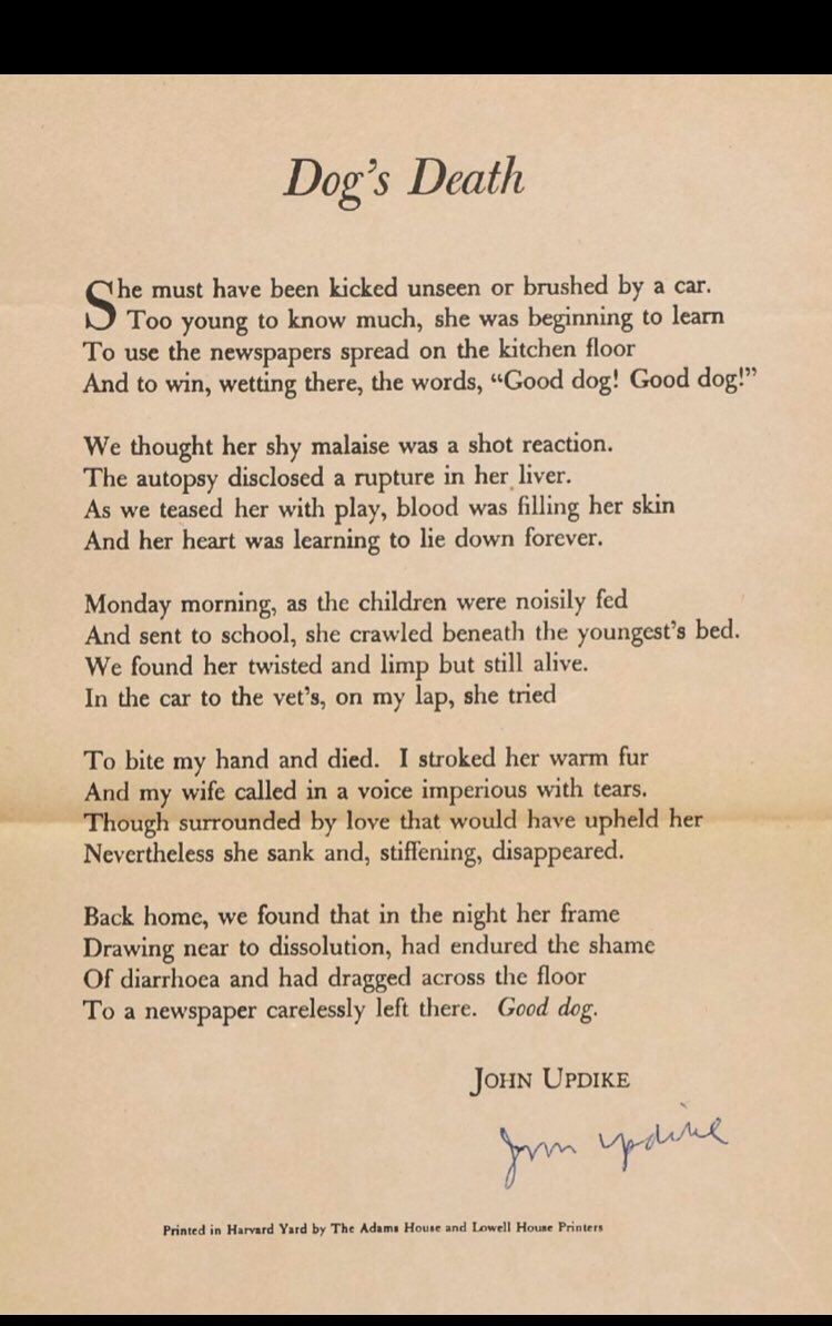 Joseph Fasano tweet media