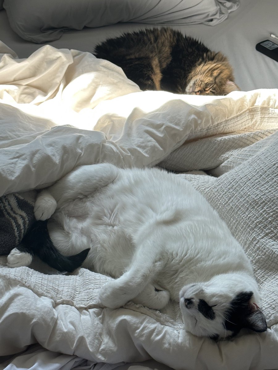 idiotpeach's tweet image. fuck these assholes