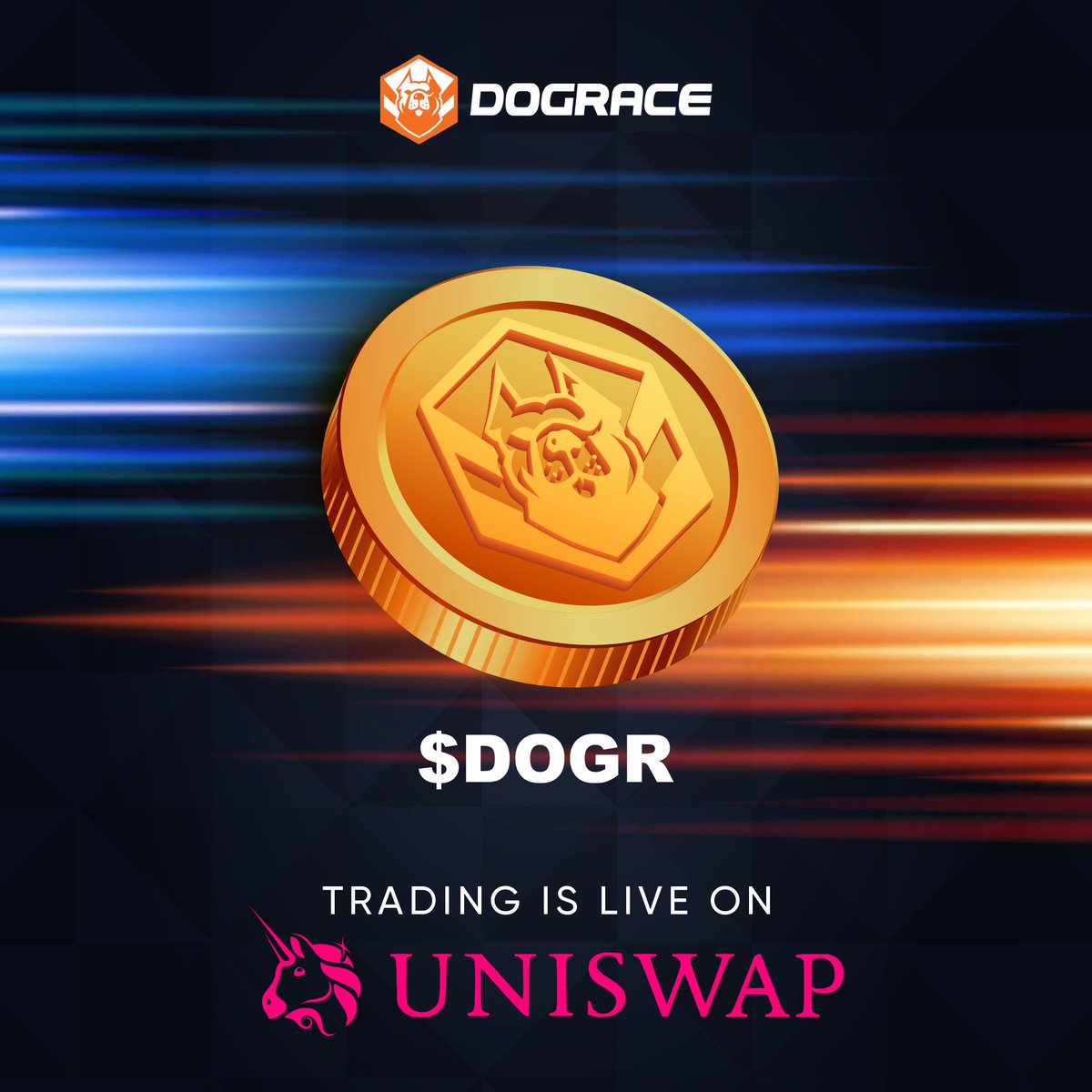 DogRace.GG tweet media