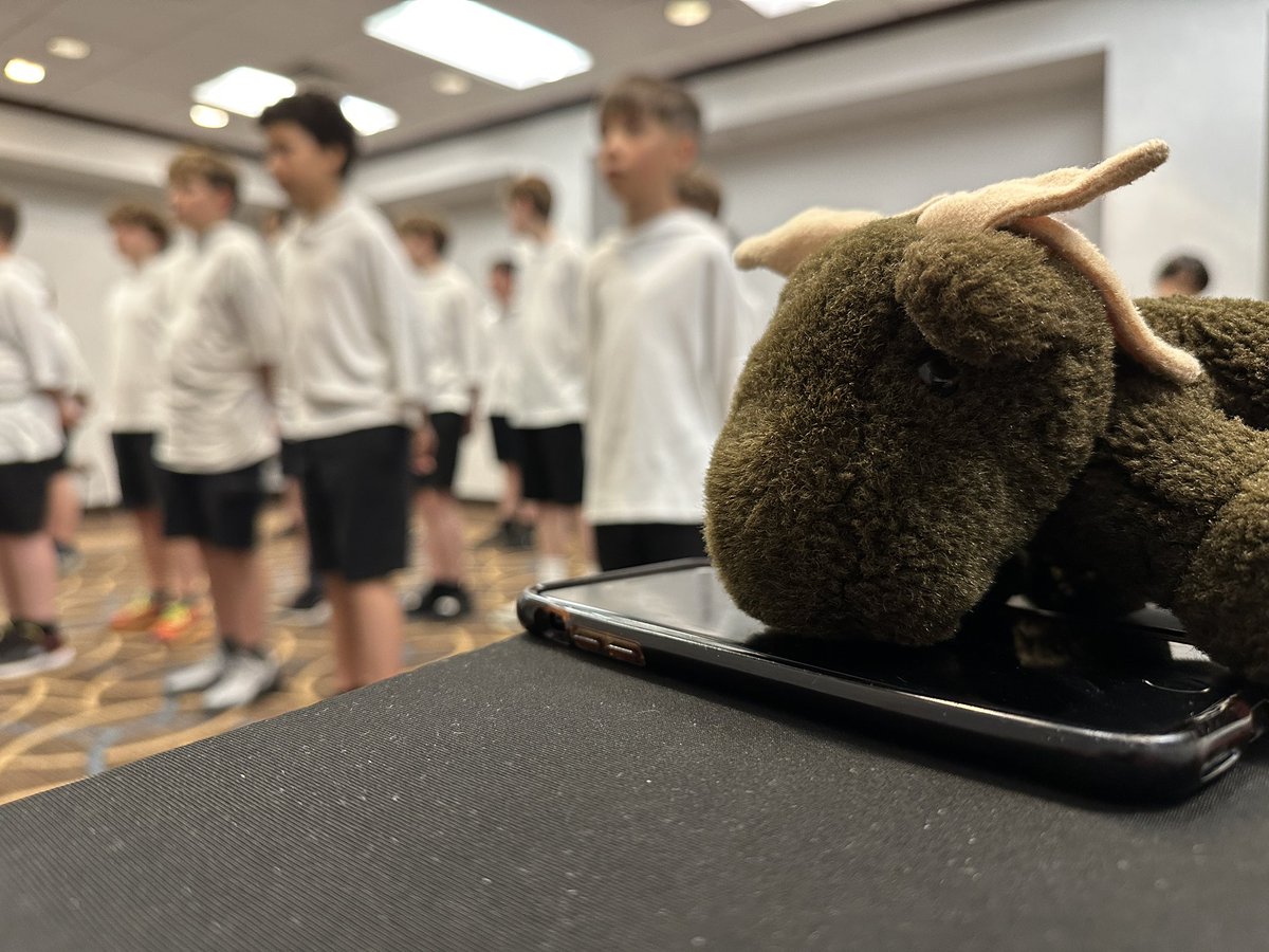 Libera Moose tweet media