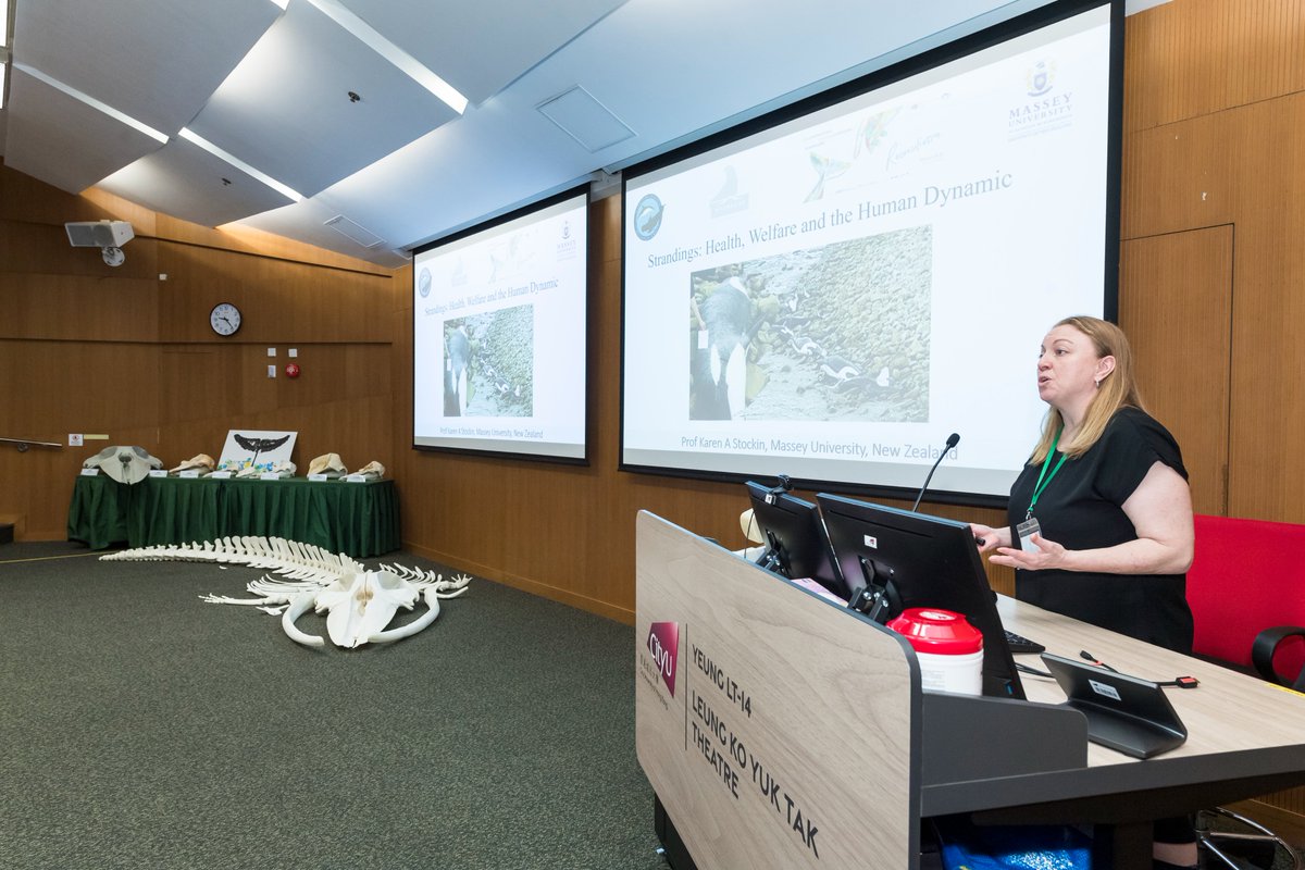 Such a pleasure to be the opening keynote for the 2023 International Cetacean Symposium & Workshop in the City University of Hong Kong #AquaticAnimalVirtopsyLab #AAVL #Virtopsy #CityU #HongKong #HK #Conservation #Stranding #MarineMammal #Cetacean #VeterinaryMedicine #Radiology