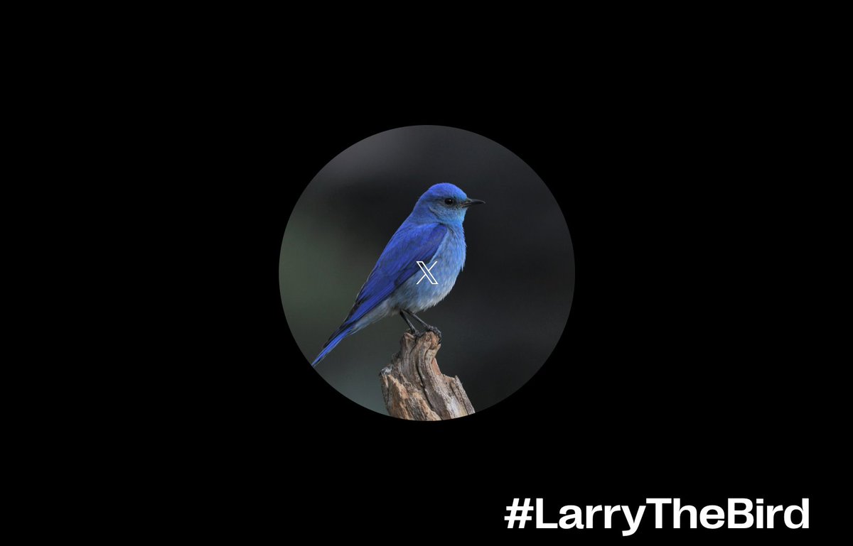 Charlie Foster tweet media