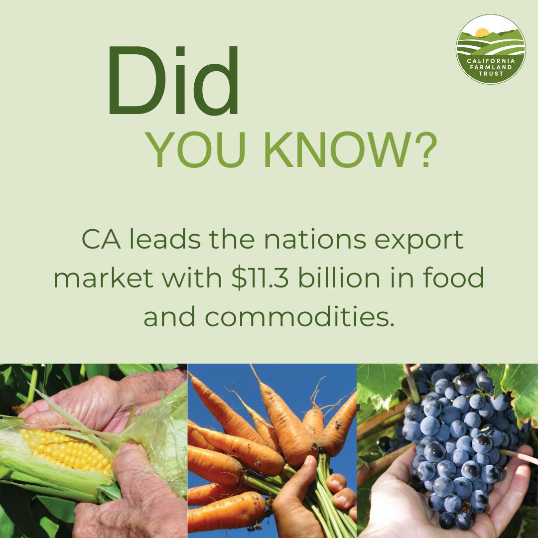 CaFarmTrust's tweet photo. Just another fun California farm fact for your Monday ... 🍇🌽🥕

#protectCAfarms #cafarmtrust #commodities https://t.co/kNNn13sXDq