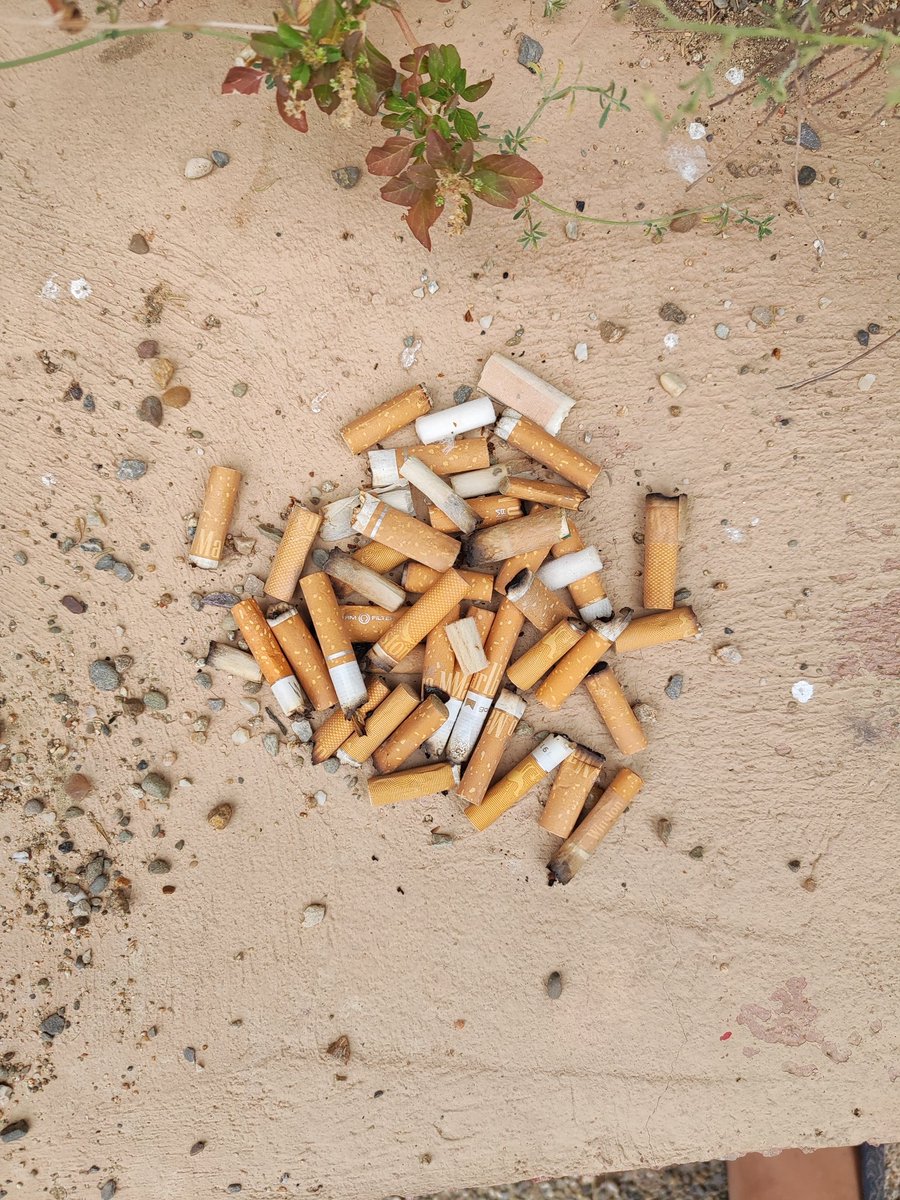 Col·lecció de burilles de cigarreta recollides a l'interior del parc infantil de la plaça del Poble Romaní. No és una cosa excepcional sinó el que ens trobem cada vegada que venim. <a href="/bcn_ajuntament/">Ajuntament de Barcelona</a>