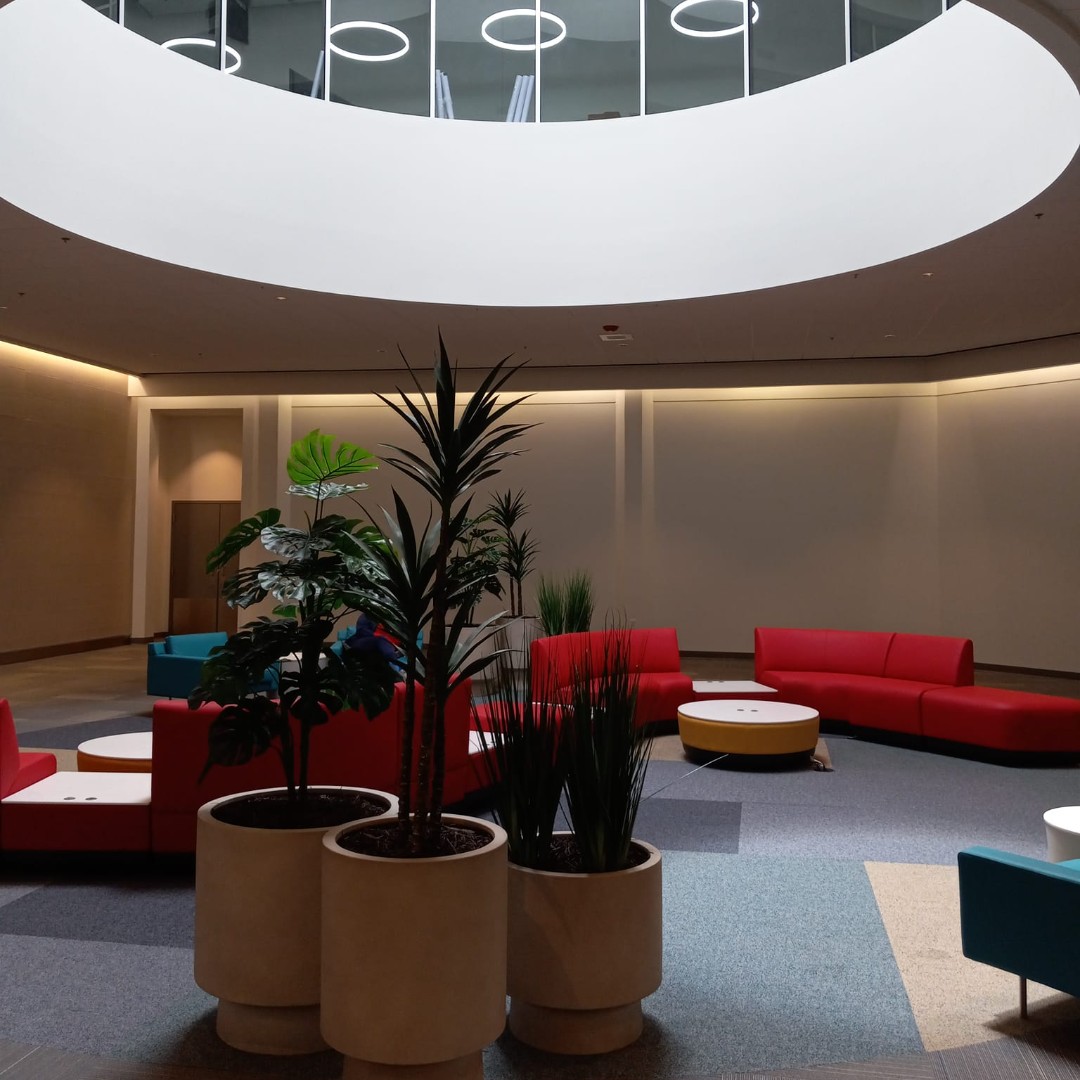 Reimagine RedBird tweet media