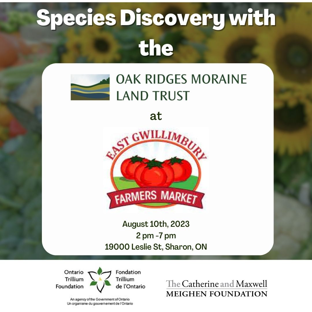 ORM Land Trust tweet media