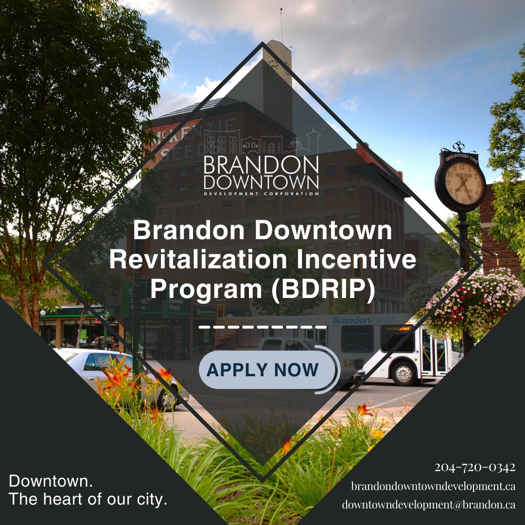 brandondowntown's tweet photo. Have you heard of the Brandon Downtown Revitalization Incentive Program (BDRIP)?

Learn more at: https://t.co/zgJUvoLd8U
.
.
.
#BrandonMB #BrandonDevelopment #BrandonGrowth #InvestinBrandon #BDDC #manitoba #westman #downtown #investment #brandondowntown #brandonmb #bdnmb #bdrip https://t.co/65OIgBFtRo