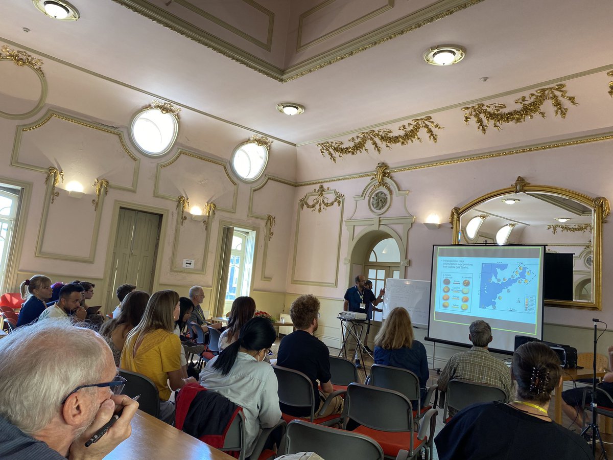 ISOLBE 2023 tweet media