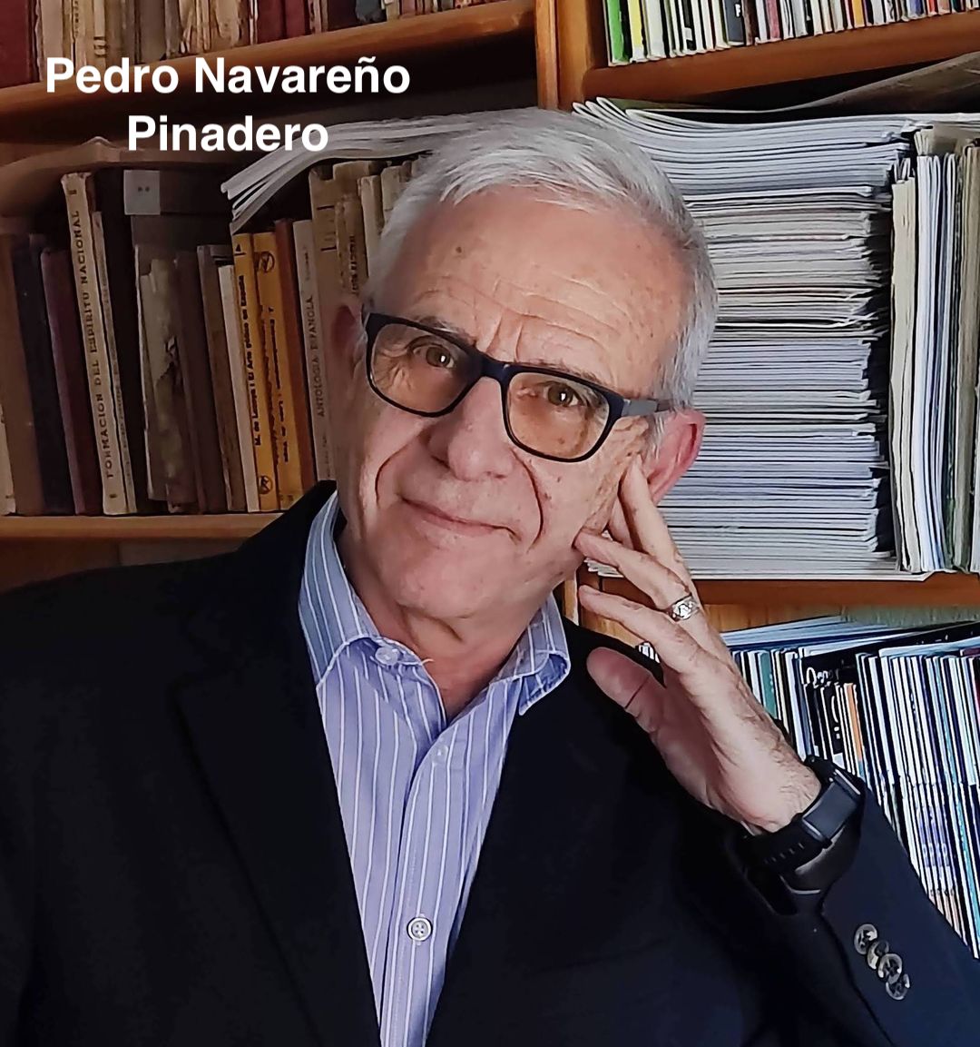 Pedro Navareño tweet media