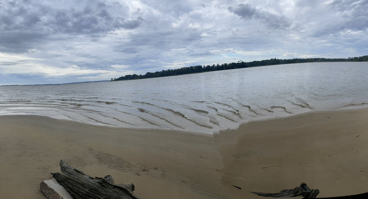 DunnNbct's tweet photo. Not just teaching but experiencing Jamestown @TwenhofelMS   #TMSWhateverItTakes https://t.co/kRDvDezJIq