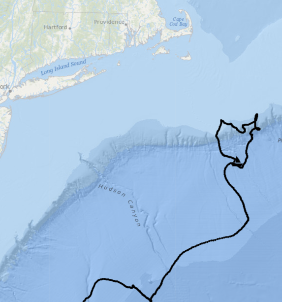 URIGSO's tweet image. The #TMSSeaChallenger has officially been at sea for ONE month! 🥳 ⛵

The #miniboat cruised up the eastern coast of the US since entering the Gulf Stream two weeks ago, and is traveling in a loop right now! @miniboats

➡️What direction will it go next?! buff.ly/3XqsHZc