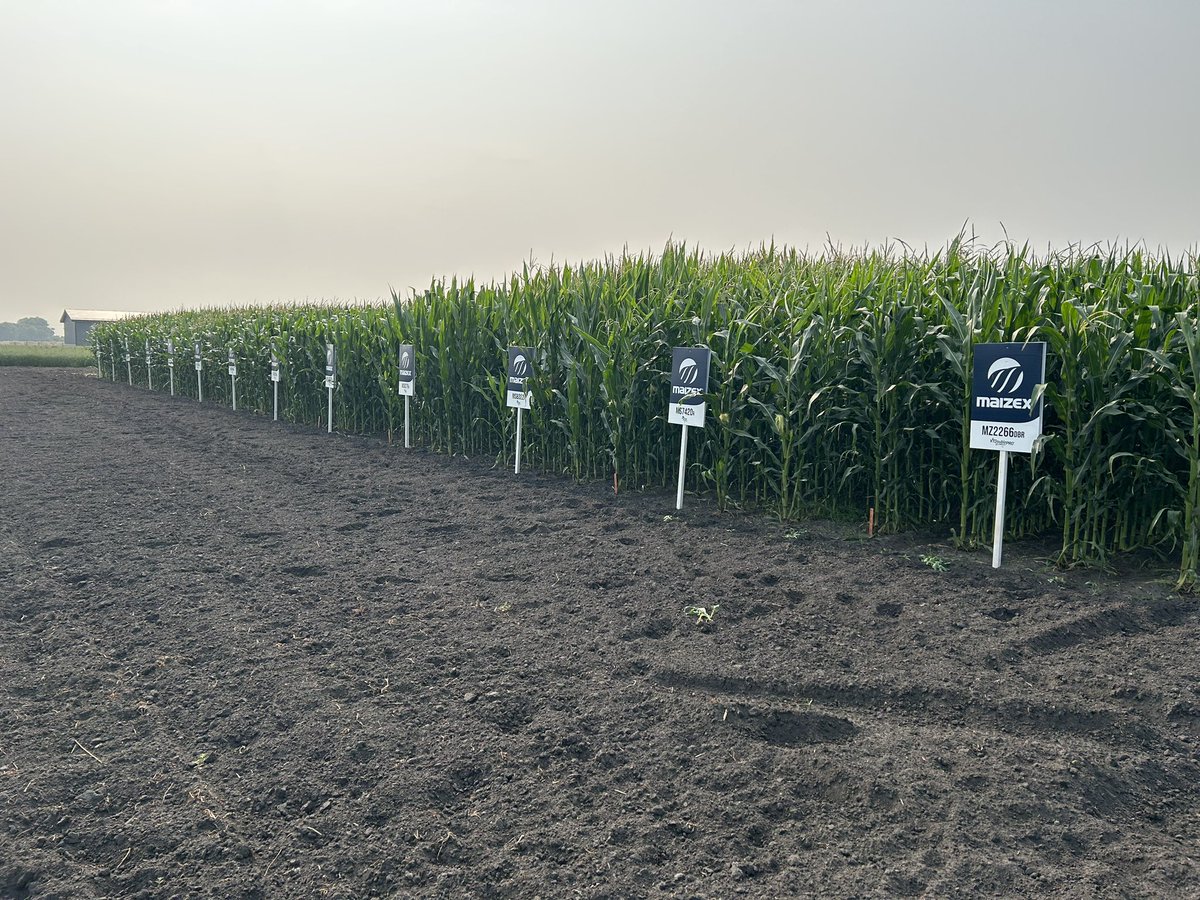 Steph Chabbert tweet media