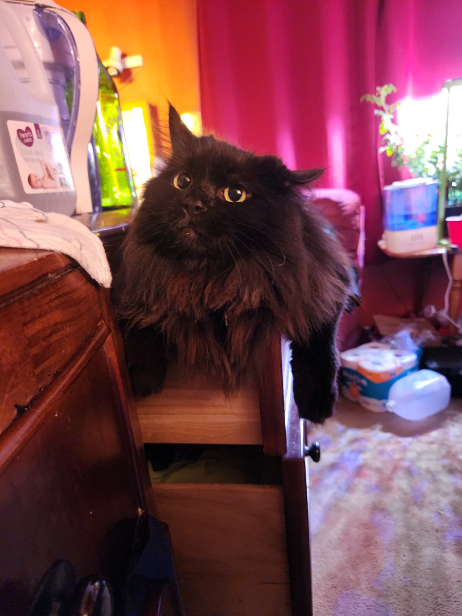 My husband made the novice mistake of leaving his drawers open.