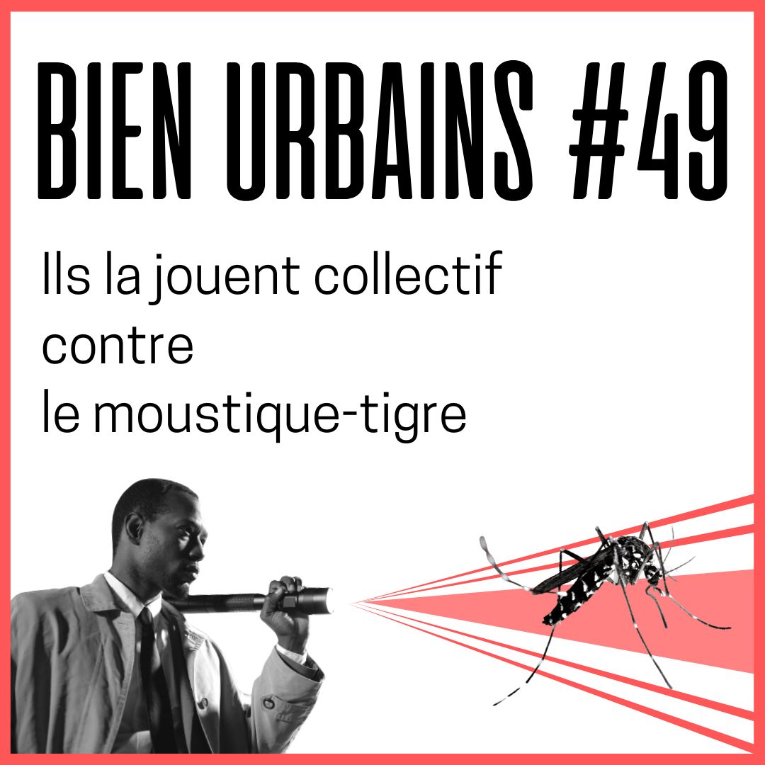 Depuis les années 2000, le moustique-tigre a colonisé 71 départements. Problème : il est potentiellement vecteur de maladies graves. Comment habitants et villes se mobilisent pour lutter contre ce fléau ? Pour lire notre enquête dans l'édition de demain : bienurbains.fr