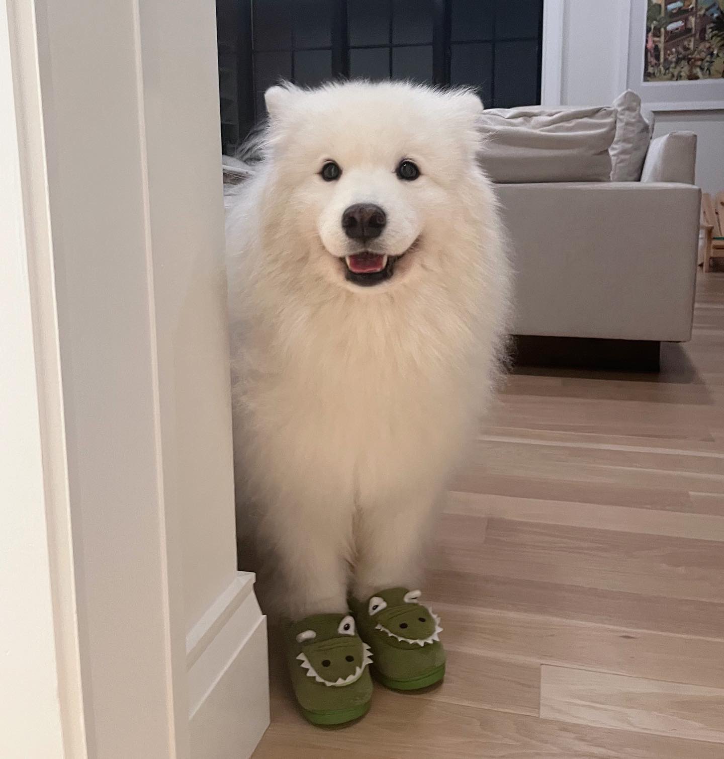 WeRateDogs on X