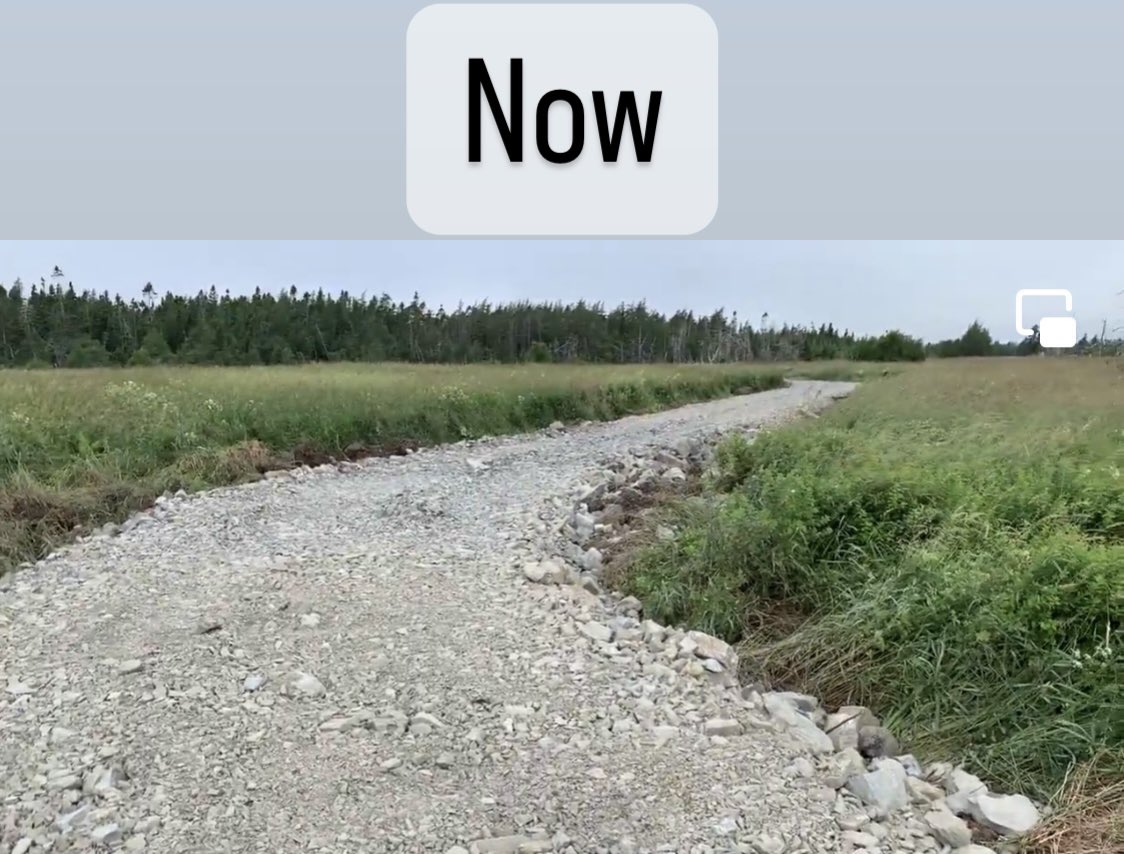 Good bye #BidgoodPark wetland destroyed😔

World class boardwalk replaced with fill, gravel and road. Here’s an idea let’s pave the @EastCoastTrail 

#BirdTheRock #BirdsNL #HikeNL #ExploreNL #wetland #habitatloss 

@CBCNL @NTVNewsNL @VOCMOpenline @StJohnsTelegram