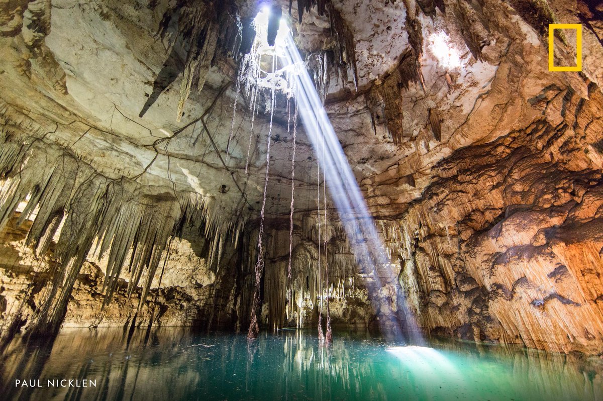 RT @NatGeo: Shafts of light penetrate inside a cenote in Yucatan Peninsula, Mexico https://t.co/X4eFtqIW2x