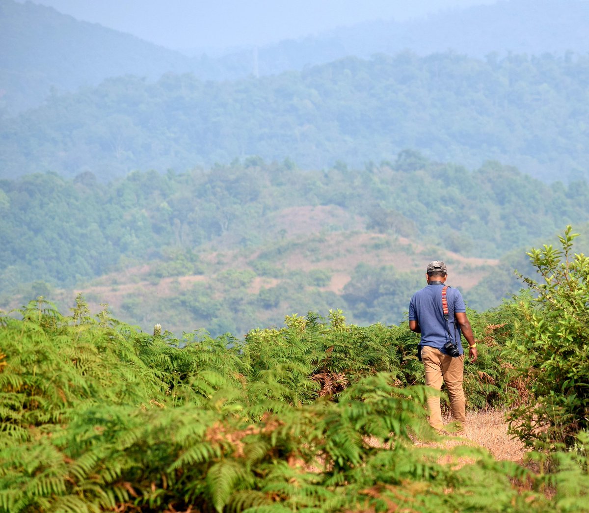 BKukke's tweet photo. 🌳🌱 Every tree counts, and every forest matters! Join the movement to shield our forests from the amendment bill's threats. #ScrapForestConservationAmendmentBill2023 #SaveIndianForests  @pmoindia @moefcc https://t.co/7Ev6HkhSsl