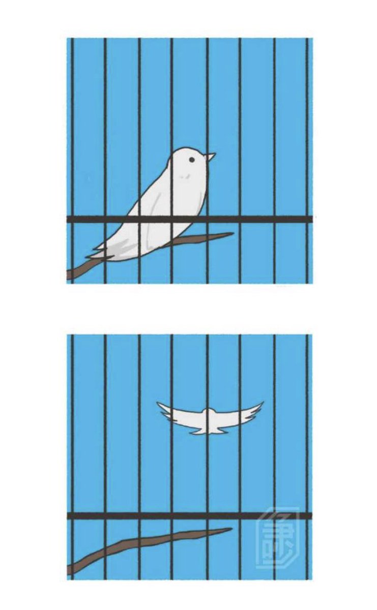 👋The little bluebird is free.