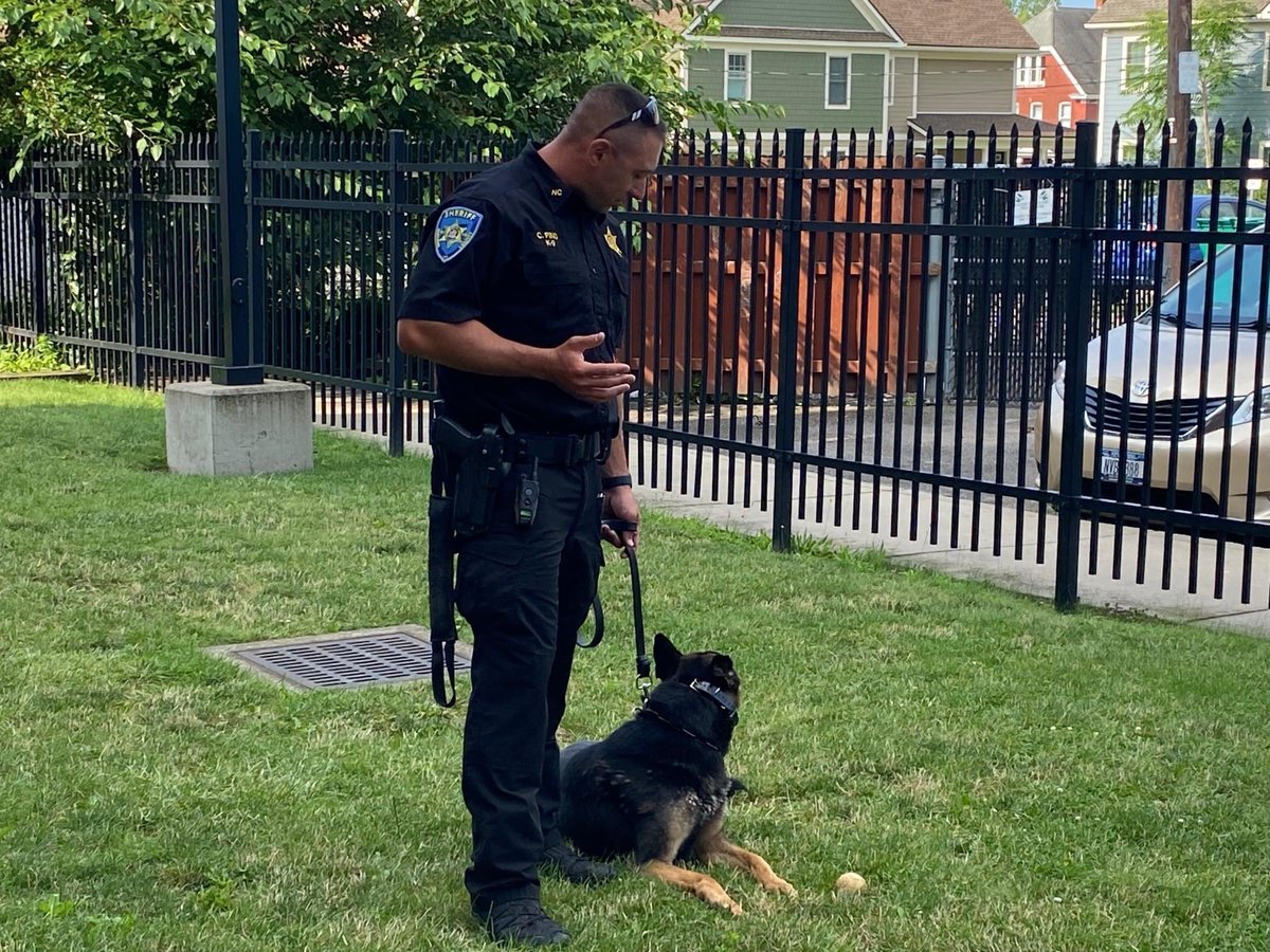 SheriffCar70's tweet photo. I am not sure, but I think Deputy Pino enjoys giving Reggie the bite command when I have the sleeve on.  We had a little fun with K9 Reggie during a demo this morning.  He's a good boy! https://t.co/KHXjmV3bIM