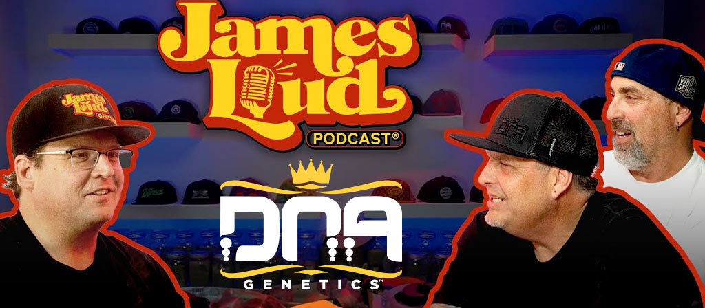 Just Released > James Loud Podcast w/ DNA Genetics Check out the video tinyurl.com/bdfd3ykd