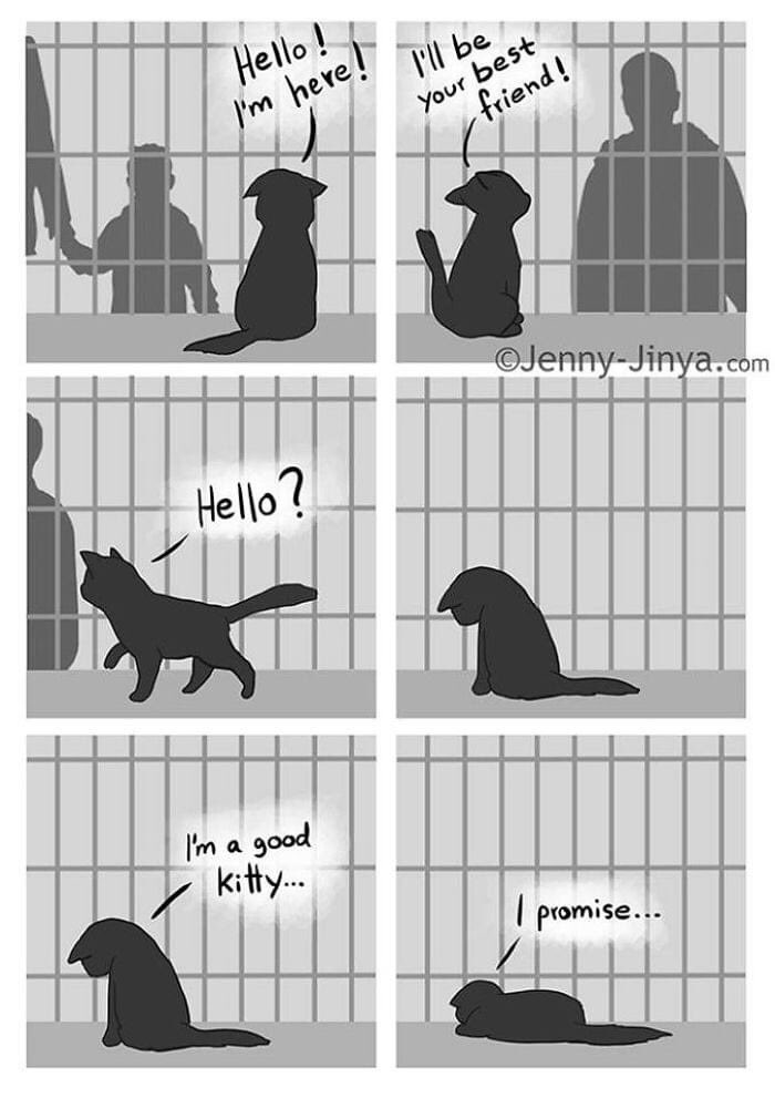 That is the first comic to cause me to tear up.