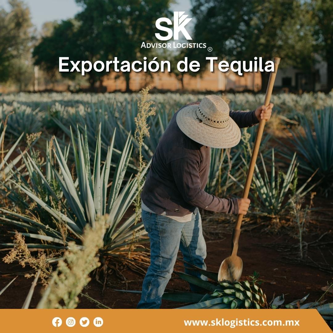 skadvisor's tweet photo. Hoy en el día internacional del tequila te compartimos algunos datos sobre su exportación🌎🥃
¡Feliz día internacional del tequila!
https://t.co/jVQ46hpyDt
#YoImportoconSk #logistica #Tequila #importación #agenciaaduanal #DíaInternacionalDelTequila https://t.co/FKxYGnsbwH