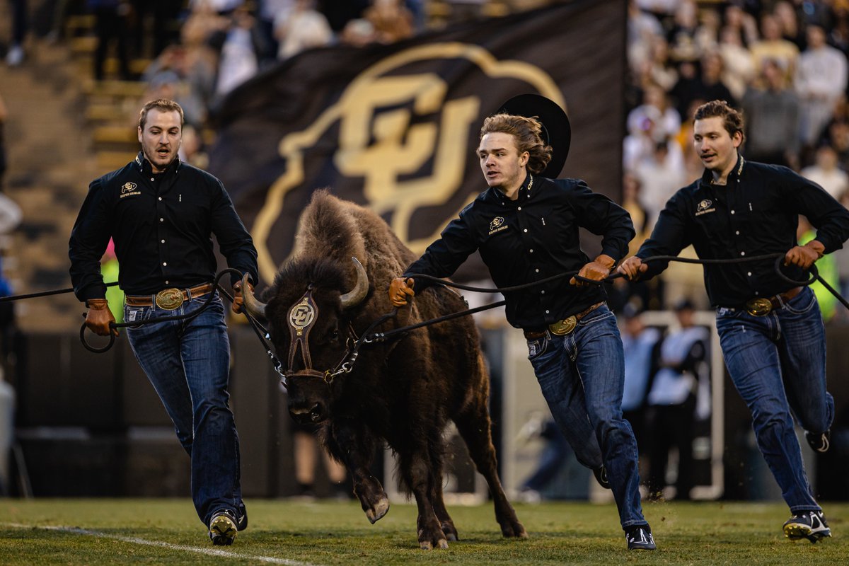The BEST tradition in college sports 🦬 Vote for @CUBuffsRalphie for @USATODAY's 10Best Readers' Choice Awards 🗳️: buffs.me/RalphieBestTra…