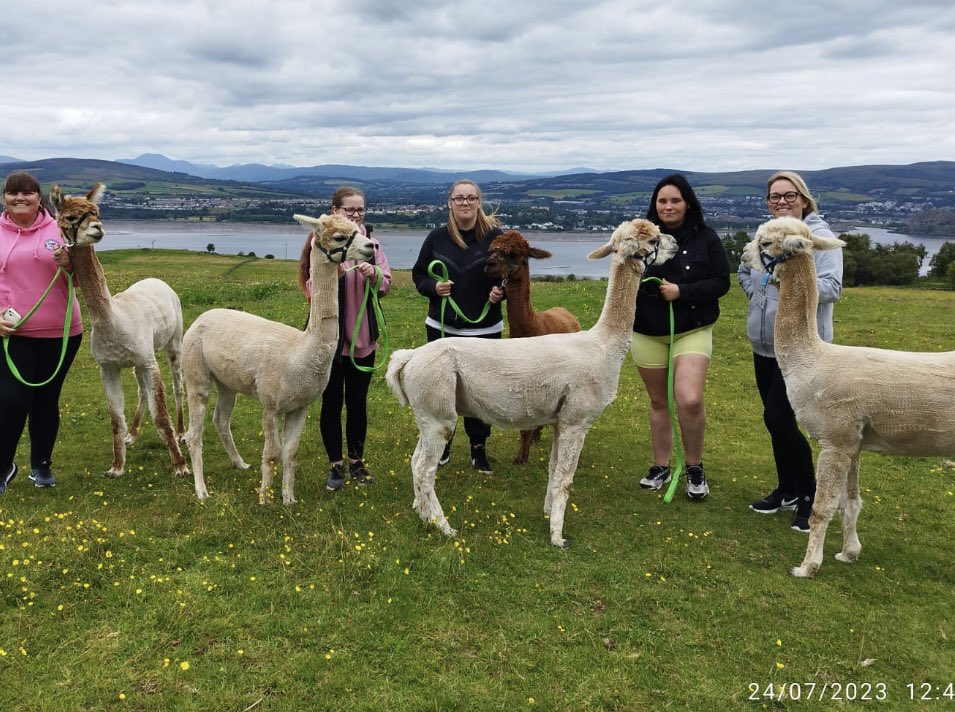 FareKelly's tweet image. A new experience for our @GovanHighSchool super stars today Alpaca Trekking 🦙🦙. So much fun and laughter 🤣. Thank you to our school for the opportunity and @FARE_Scotland for our lunch ❤️🖤 #HoFoP