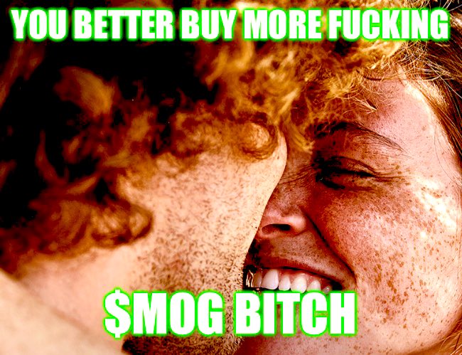 MOGFAGGET's tweet photo. OR IT’S ON SIGHT IF YOU DONT….

$MOG https://t.co/pvKZi5ylG0