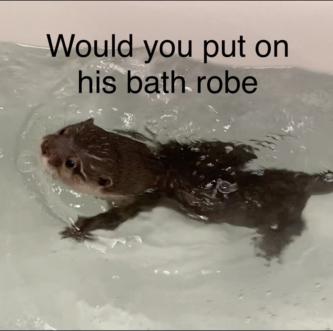 Naomi Elizabot (@nelizabot) on Twitter photo 