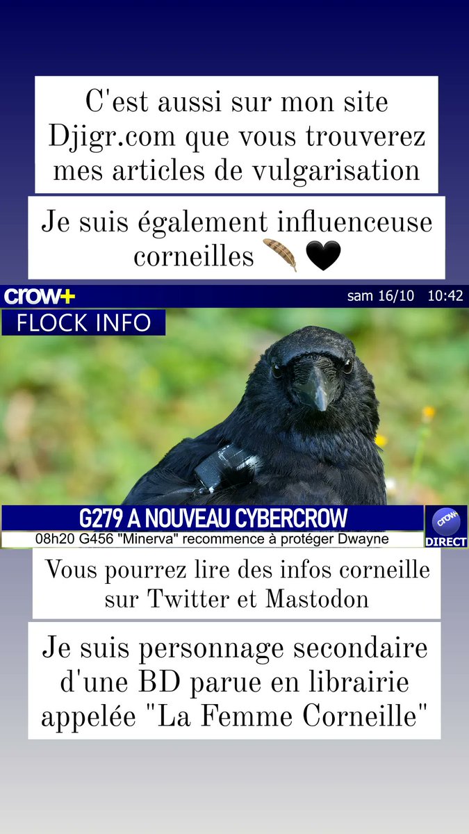 Tweet media four
