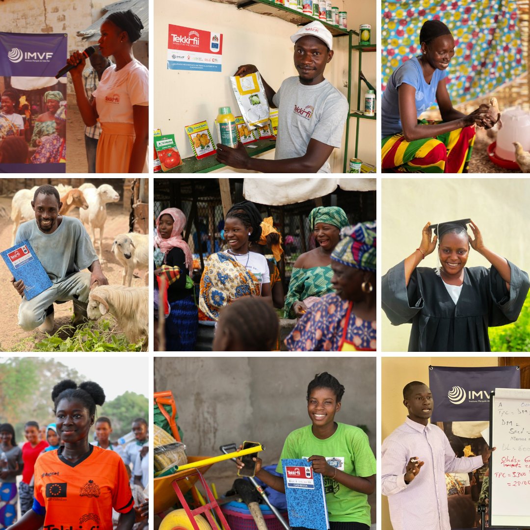 imvf's tweet image. The #TekkiFii project in a nutshell: highlights, lessons learned, testemonies and more 👉tekkifii.imvf.org
#MakeItInTheGambia #AfricaTrustFund #Gambia 🇬🇲 
@EUinTheGambia @camoes_ip